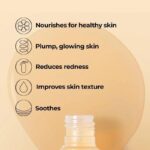 Full Fit Propolis Synergy Toner X3